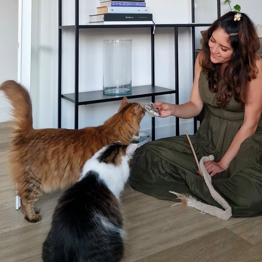 Stephanie playing with two cats at home